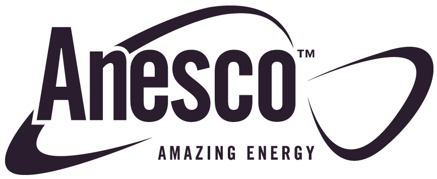 Anesco logo